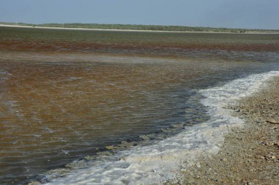 A colorida Laguna Cumaraguas, na península de Paraguaná, ponto mais ao norte da Venezuela